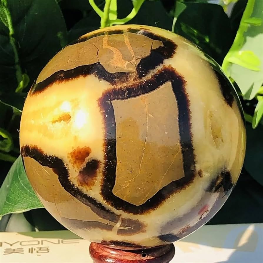 Amazon.co.jp: 美しい 天然亀甲石水晶龍水晶玉宝石鉱物標本